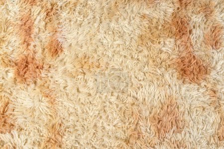Foto de Textura de una alfombra de color amarillo-marrón con pila larga - Imagen libre de derechos