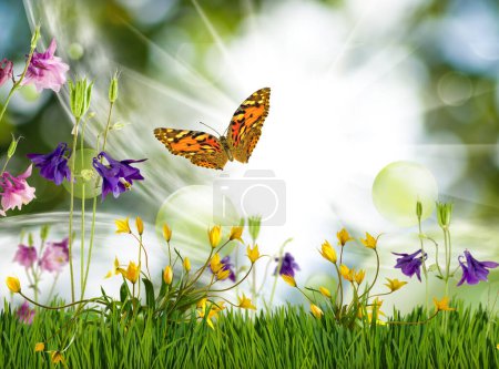 Image of wildflowers in the grass and a flying butterfly. Decoration of beautiful flowers
