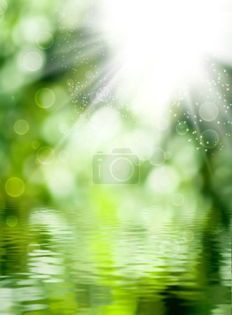 Image of the sun, green blurred background with bokeh, water surface with small ripples