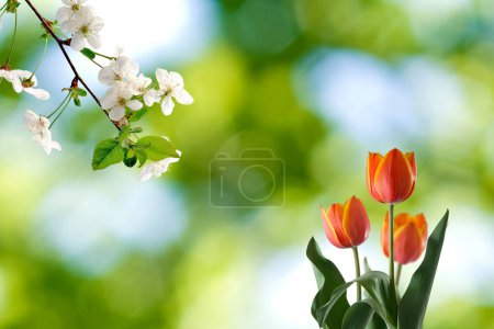  obraz kwiatów na rozmytym zielonym tle i gałązce kwitnącego wiśni