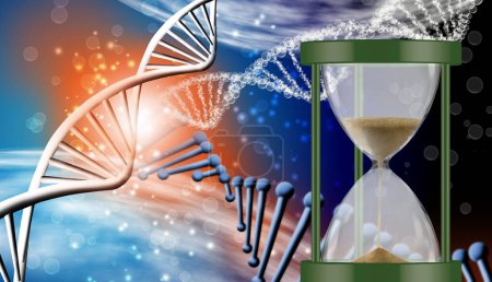 Photo for The image of an hourglass on the background of abstract stylized dna chains - Royalty Free Image