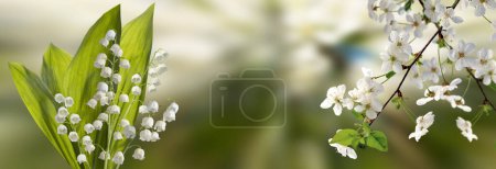 Image of beautiful white lily of the valley flowers. Spring bouquet of lilies of the valley