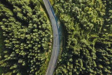 Photo for Beautiful scenic road in the forest, aerial view from drone, travel background - Royalty Free Image