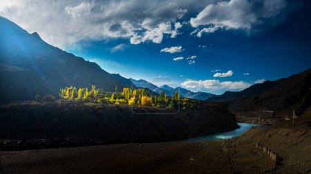 Foto de Árbol cambiante de color y el Himalaya, Leh, India - Imagen libre de derechos