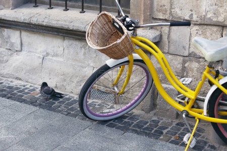 Foto de Medio ambiente urbano, concepto de transporte ecológico. Bicicleta amarilla en el centro histórico de la capital europea. Paloma cerca del vehículo. Estilo vintage. tiro al aire libre - Imagen libre de derechos