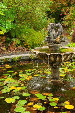 Téléchargez les photos : Fontaine classique dans un vieux jardin avec de belles plantes. À l'automne. Plan extérieur - en image libre de droit
