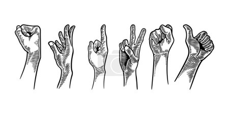 Illustration for Hand gesture set collections. Vector illustration hand drawing sketch engraving style. Vintage black and white ink colors. - Royalty Free Image