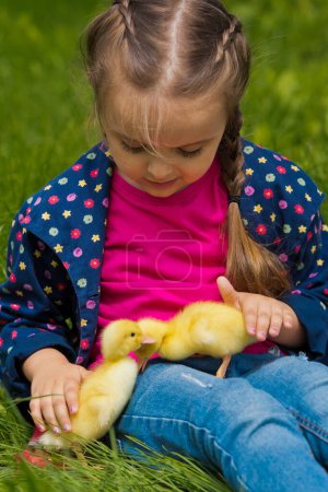 Téléchargez les photos : Jolie petite fille heureuse avec de petits canetons dans le jardin. Contexte naturel. - en image libre de droit