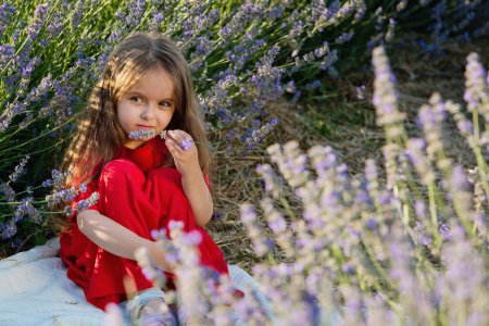 Foto de Retrato de niña linda en las flores de lavanda en el prado. - Imagen libre de derechos