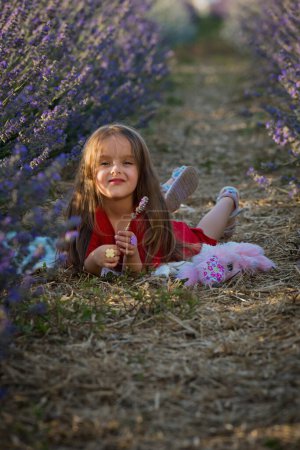 Foto de Retrato de niña linda en las flores de lavanda en el prado. - Imagen libre de derechos