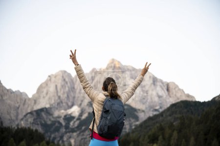 Foto de Vista desde atrás de una joven con una mochila de pie con los brazos en gesto victorioso en la naturaleza con hermosa vista de las altas montañas. - Imagen libre de derechos