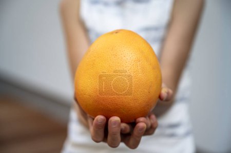 Foto de Vista de cerca de las manos de un niño sosteniendo grandes pomelos maduros directamente hacia la cámara. - Imagen libre de derechos