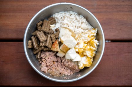 Foto de Vista superior de la comida cuidadosamente preparada para perros con carne, arroz, manzanas, huevos y kibble para mejor nutriciónmrnt. - Imagen libre de derechos
