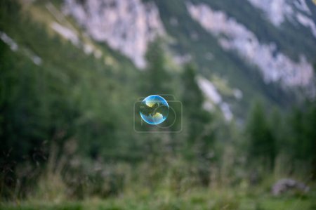 Foto de Una sola burbuja de jabón transparente flotando por el aire en medio de la naturaleza verde. - Imagen libre de derechos