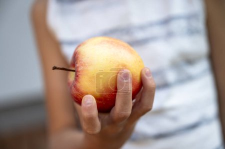 Foto de Vista de cerca de un niño, un niño pequeño, sosteniendo una manzana madura en su mano. - Imagen libre de derechos