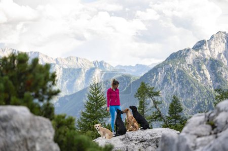 Foto de Joven excursionista de pie en la cima de una montaña con sus cuatro perros con una hermosa vista detrás de ellos. - Imagen libre de derechos