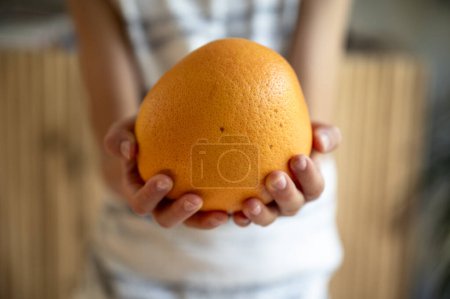 Foto de Manos de un niño sosteniendo una naranja madura o pomelo. - Imagen libre de derechos