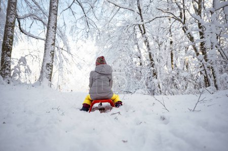 Foto de Vista desde atrás de una niña pequeña en traje de invierno sentada en un trineo en la hermosa naturaleza nevada. - Imagen libre de derechos