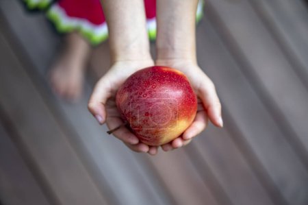 Foto de Vista aérea de una niña sosteniendo una hermosa manzana roja madura en sus manos ventosas. - Imagen libre de derechos