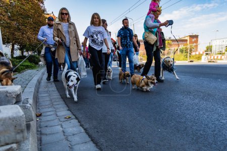 Foto de Wroclaw, Polonia - Septiembre 2022: Plaza de la Libertad en Wroclaw y calles de la ciudad llenas de perros pequeños y grandes en Wroclaw Dogs Parade Hau Are You organizado por refugio de animales sin hogar local - Imagen libre de derechos