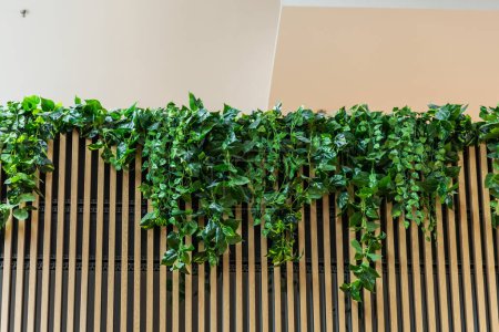 Small wall with wooden wall slats and a lot of green leaves hanging from top