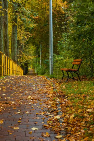 Alone wooden bench standing in park next to sidewalk with long yellow railing next to street 