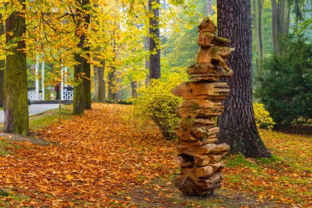 Foto de Polanica-Zdroj, Polonia - 20 de octubre de 2023: Hermoso y colorido parque termal bien cuidado con árboles viejos, macizos de flores, una fuente y un sanatorio - Imagen libre de derechos
