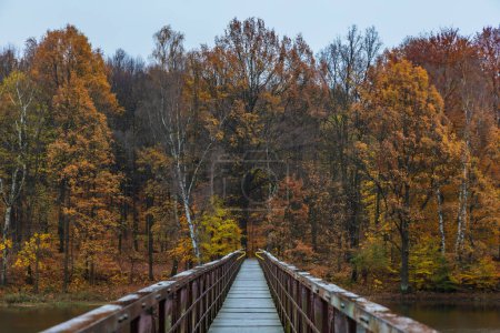 Schöne Aussicht auf lange Stahl- und Holzbrücke über großen und stillen See mit herbstlich goldenen Bäumen und Büschen am trüben und regnerischen Morgen