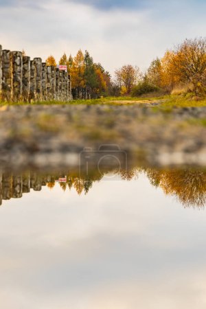 Große Pfütze inmitten eines langen Weges mit Bäumen und Büschen, die sich im Wasser spiegeln