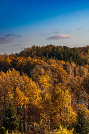 Schöne Berglandschaft voller goldener und grüner Bäume im Herbst und mit klarem blauen Himmel mit wenigen kleinen Wolken