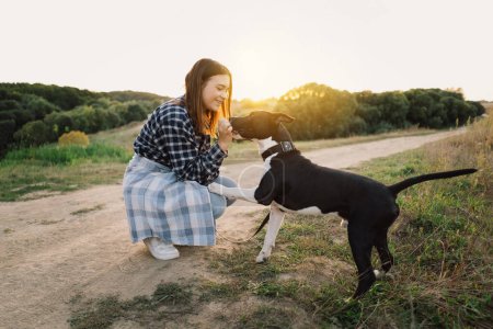 Photo for Human and a dog. Teengirl and her friend staffer dog on the field background. Beautiful young woman relaxed and carefree enjoying a summer sunset with her lovely dog. Lifestyle - Royalty Free Image