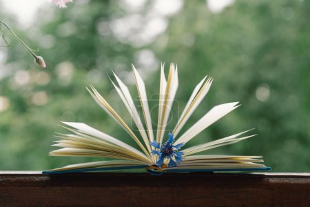 An open book on a rustic wooden table with nature in the background