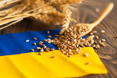 Weizenkörner mit gelb-blauer ukrainischer Flagge auf hölzernem Hintergrund. Export, Verkauf, Import ukrainischen Getreides. Ukrainisches Getreide.