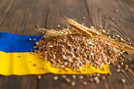 Grains de blé avec drapeau ukrainien jaune et bleu sur fond en bois. Exportation, vente, importation de céréales ukrainiennes. Grain ukrainien.