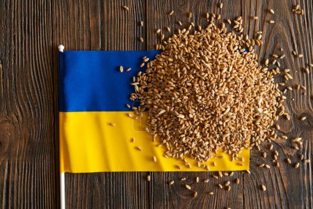 Grains de blé avec drapeau ukrainien jaune et bleu sur fond en bois. Exportation, vente, importation de céréales ukrainiennes. Grain ukrainien.