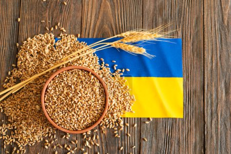 Granos de trigo con bandera ucraniana amarilla y azul sobre fondo de madera. Exportación, venta, importación de grano ucraniano. Grano ucraniano.