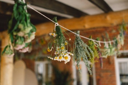 Kräutersträuße und Blumen hängen an einer Schnur und trocknen auf natürliche Weise in einem Innenraum mit rustikalem Charme.