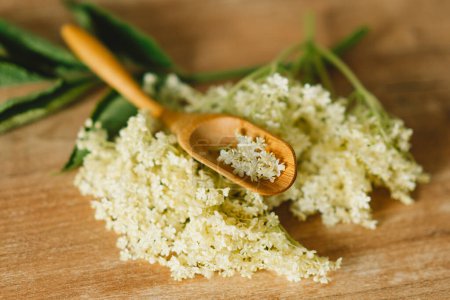 Freshly picked elderflower blossoms lie on a rustic wooden table, with a small wooden spoon holding a few delicate flowers, bathed in natural light.