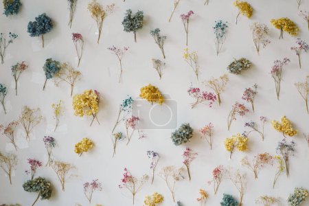A collection of dried flowers in various colors is meticulously organized on a white surface. The flowers exhibit different stages of drying, providing a natural and delicate visual texture.