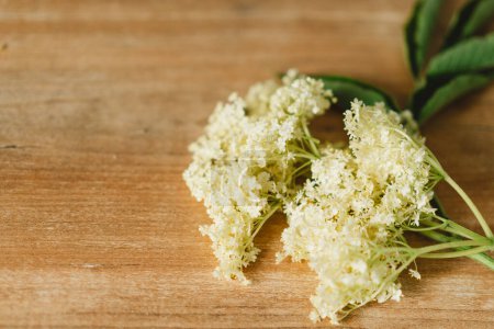 Freshly picked elderflowers are arranged on a wooden table. The blossoms are ready to be used for culinary or medicinal purposes.