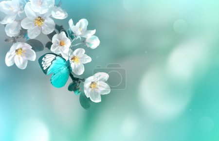 Photo for Blossom tree over nature background with butterfly. Spring flowers. Spring background. Blurred concept. - Royalty Free Image