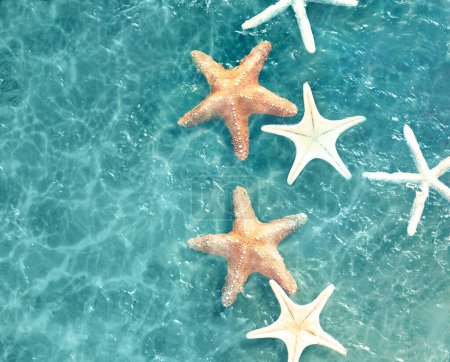 Foto de Estrella de mar en la playa de verano en agua de mar. Fondo de verano. Hora de verano. - Imagen libre de derechos