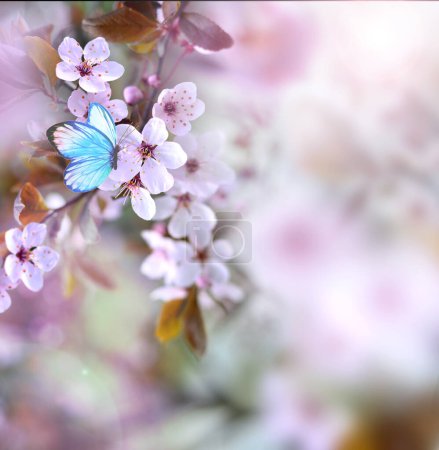 Foto de Árbol de flores sobre el fondo de la naturaleza con mariposa. Flores de primavera. Fondo de primavera. Concepto borroso. - Imagen libre de derechos