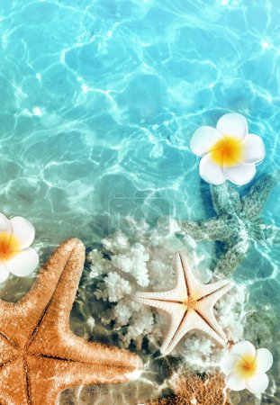 Photo for Starfish, seashell and flower on the summer beach in sea water. Summer background. Summer time. - Royalty Free Image