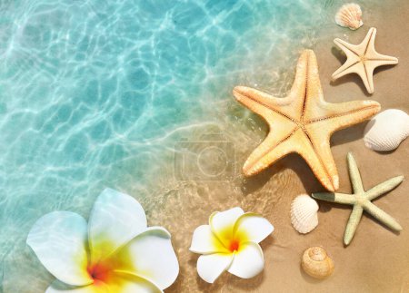 Foto de Estrella de mar, concha y flor en la playa de verano en agua de mar. Fondo de verano. Hora de verano. - Imagen libre de derechos