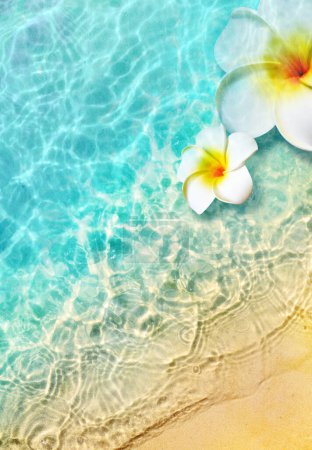 Foto de Flores blancas en la playa de verano en agua de mar. Fondo de verano. Hora de verano. - Imagen libre de derechos