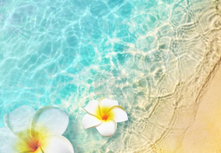 Foto de Flores blancas en la playa de verano en agua de mar. Fondo de verano. Hora de verano. - Imagen libre de derechos