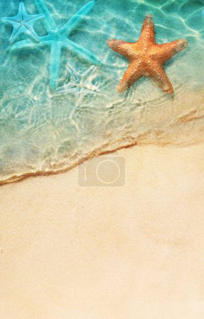 Foto de Estrella de mar en la playa de verano en agua de mar. Fondo de verano. Hora de verano. - Imagen libre de derechos