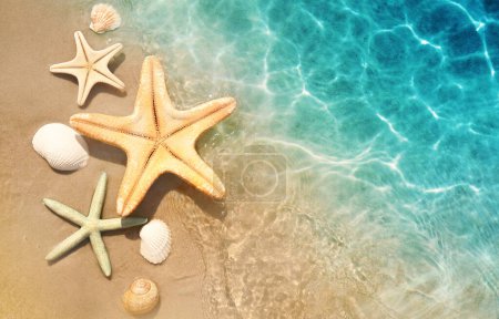 Foto de Estrella de mar y concha en la playa de verano en agua de mar. Fondo de verano. Hora de verano
. - Imagen libre de derechos
