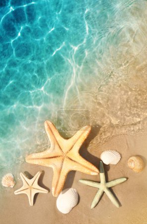 Foto de Estrella de mar y concha en la playa de verano en agua de mar. Fondo de verano. Hora de verano
. - Imagen libre de derechos